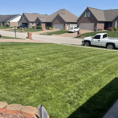 Perfectly maintained lawn